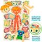 QUOKKA Wooden Puzzles for Kids – Montessori Puzzles for Toddlers 3-5 – Preschool Game Learning Human Body Parts Anatomy Skeleton – Educational Toys for Boy & Girl